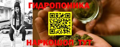 шишки Чапаевск