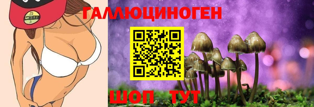 наркота  Галлюциногенные грибы прущие грибы  Вход с VPN  Бахчисарай 